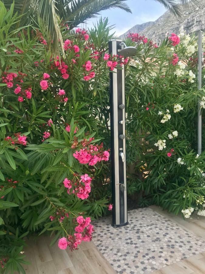 Villa Denia Costa Blanca מראה חיצוני תמונה