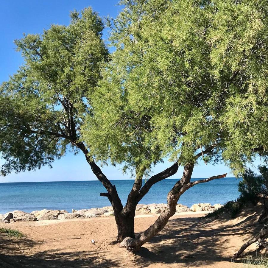 Villa Denia Costa Blanca מראה חיצוני תמונה